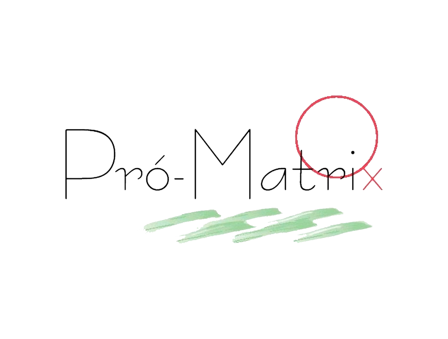 logo_pro_matrix